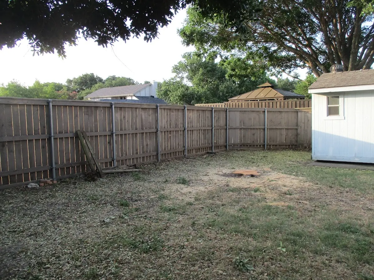 Cleared yard after professional tree removal in Blue Ball